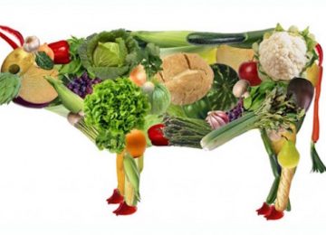 vegetarianismo e dieta vegetariana