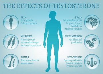 Tutto sul Testosterone nell’uomo e nella donna